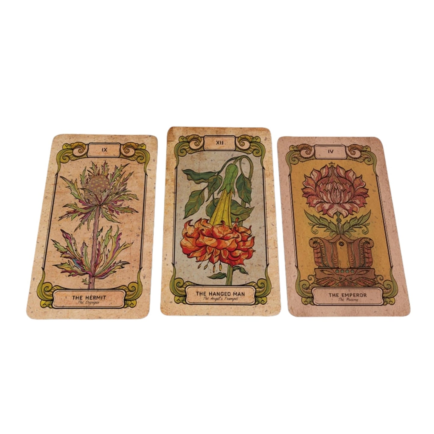 BOTANICA OCULTA TAROT - 78+2 Card Deck | Mystical Tarot & Oracle Cards for Spiritual Guidance, Divination, and Manifestation | High-Quality Cardstock with Stunning Botanical Illustrations | Ideal for Beginners & Experts