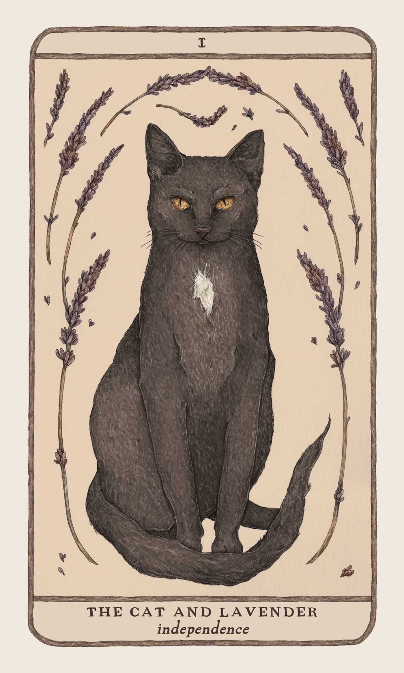 Woodland Wardens: 52-Card Oracle Deck & Guidebook