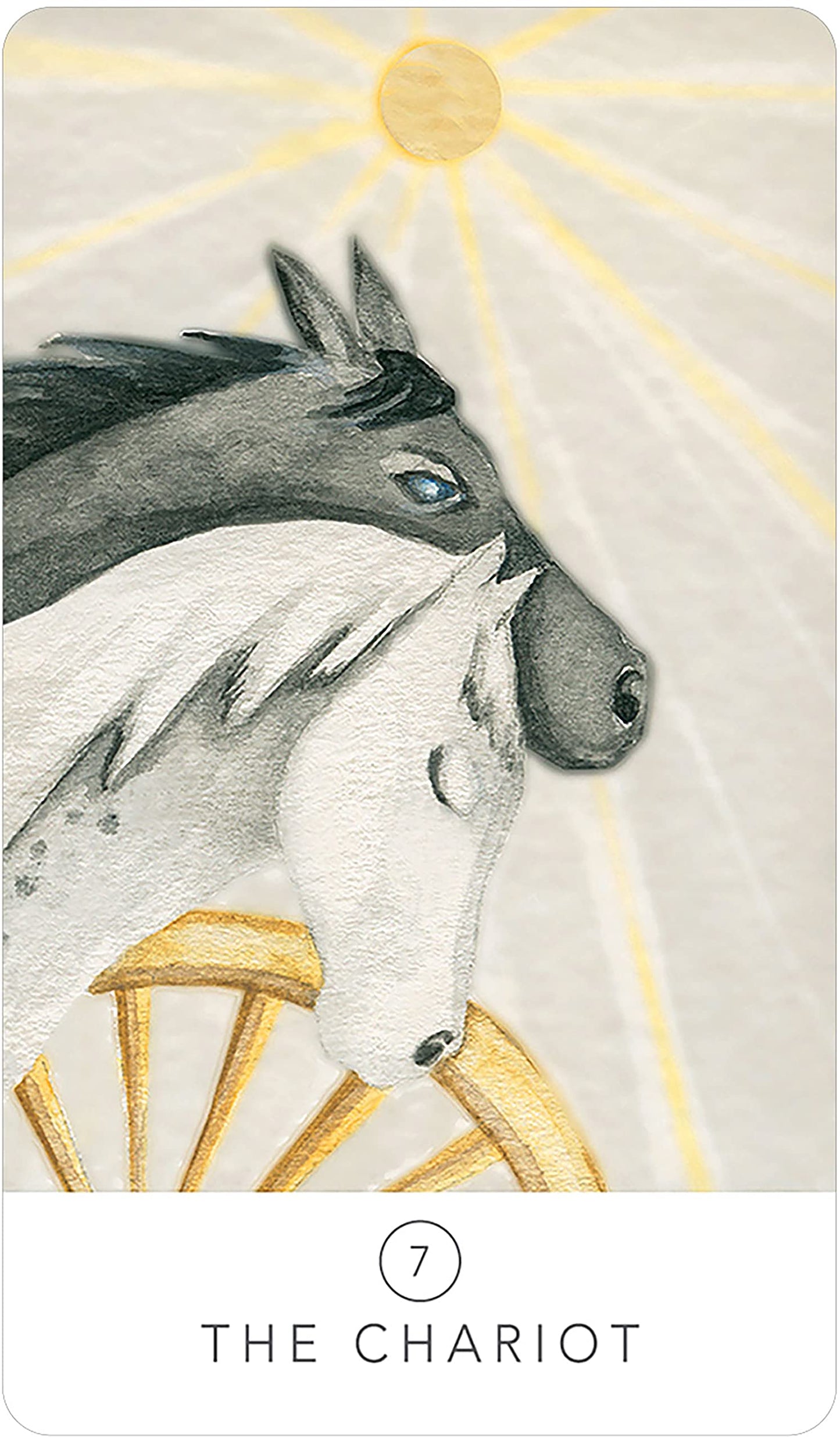 White Sage Tarot In A Tin