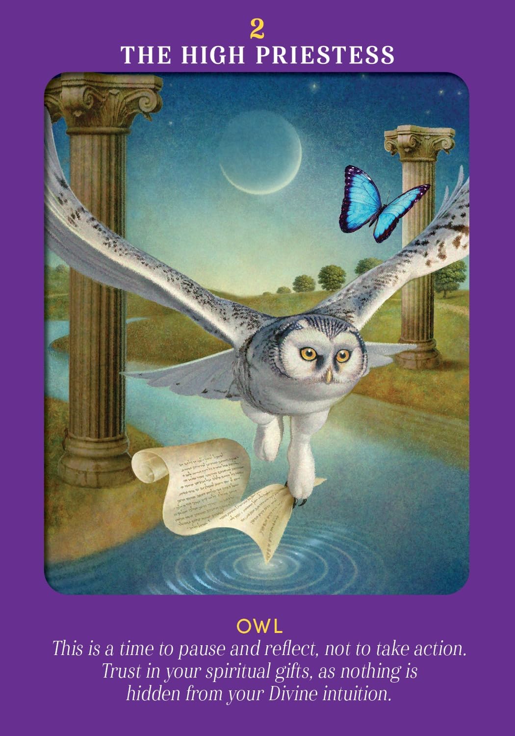 Animal Guides Tarot: A 78-Card Deck and Guidebook