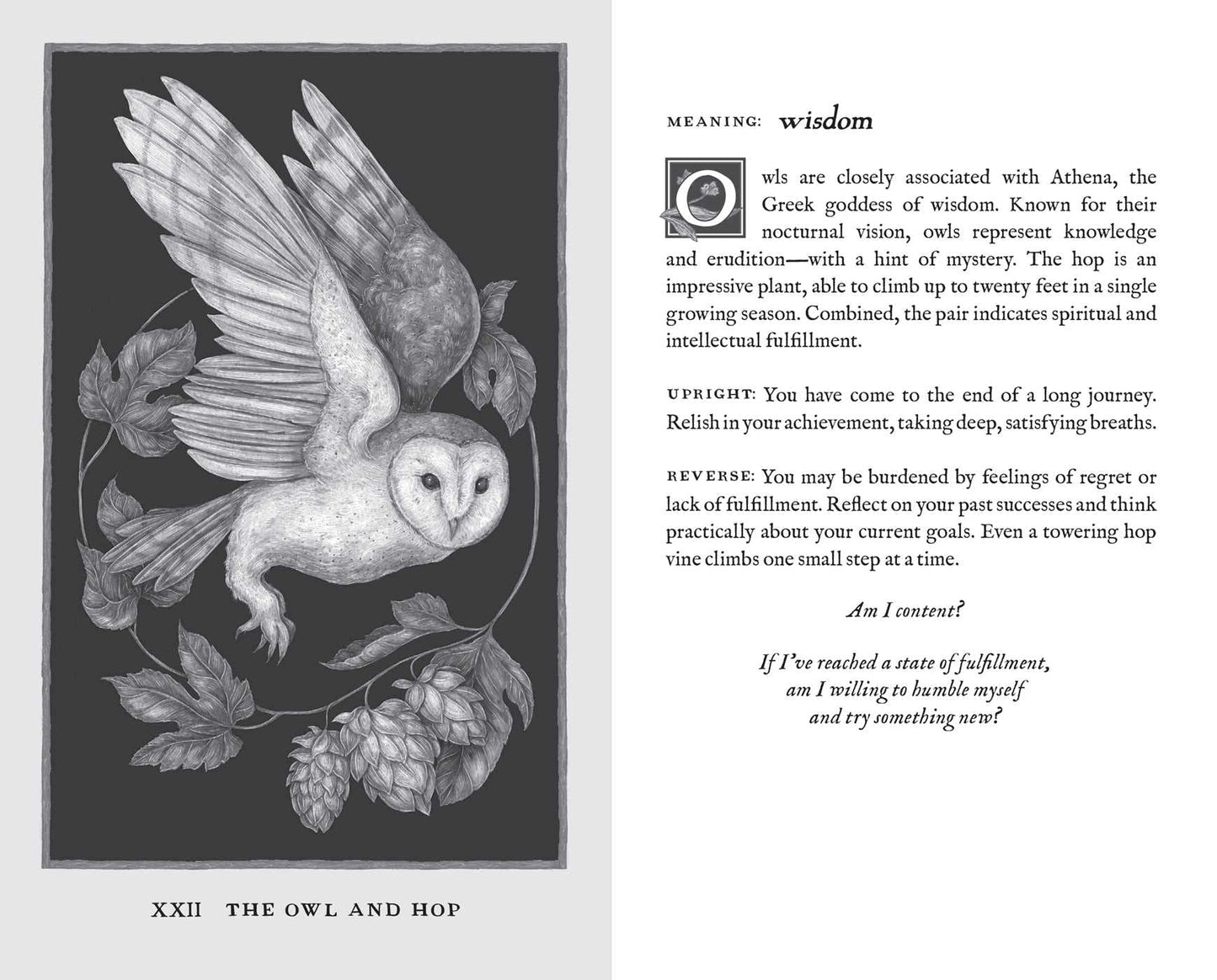 Woodland Wardens: 52-Card Oracle Deck & Guidebook