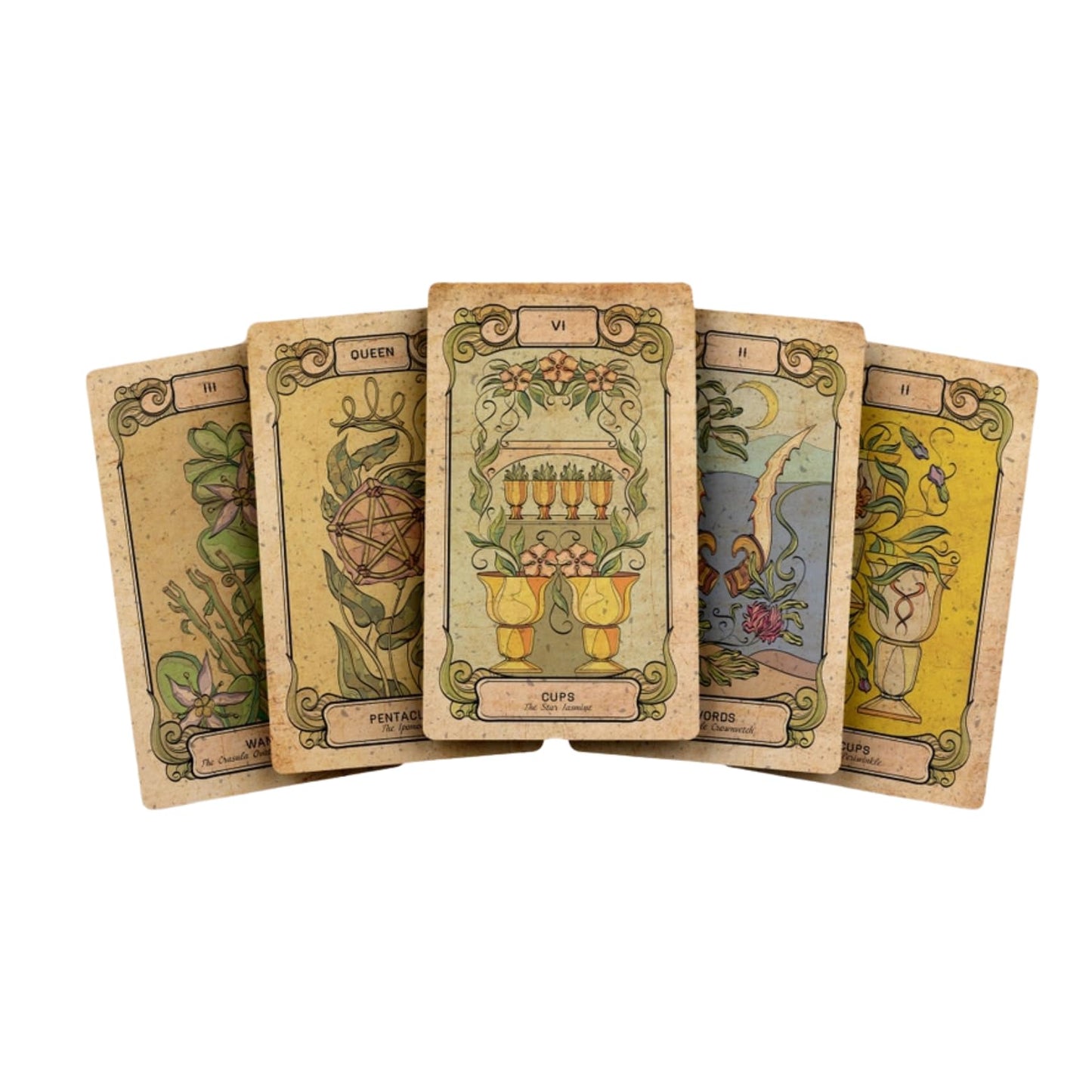BOTANICA OCULTA TAROT - 78+2 Card Deck | Mystical Tarot & Oracle Cards for Spiritual Guidance, Divination, and Manifestation | High-Quality Cardstock with Stunning Botanical Illustrations | Ideal for Beginners & Experts