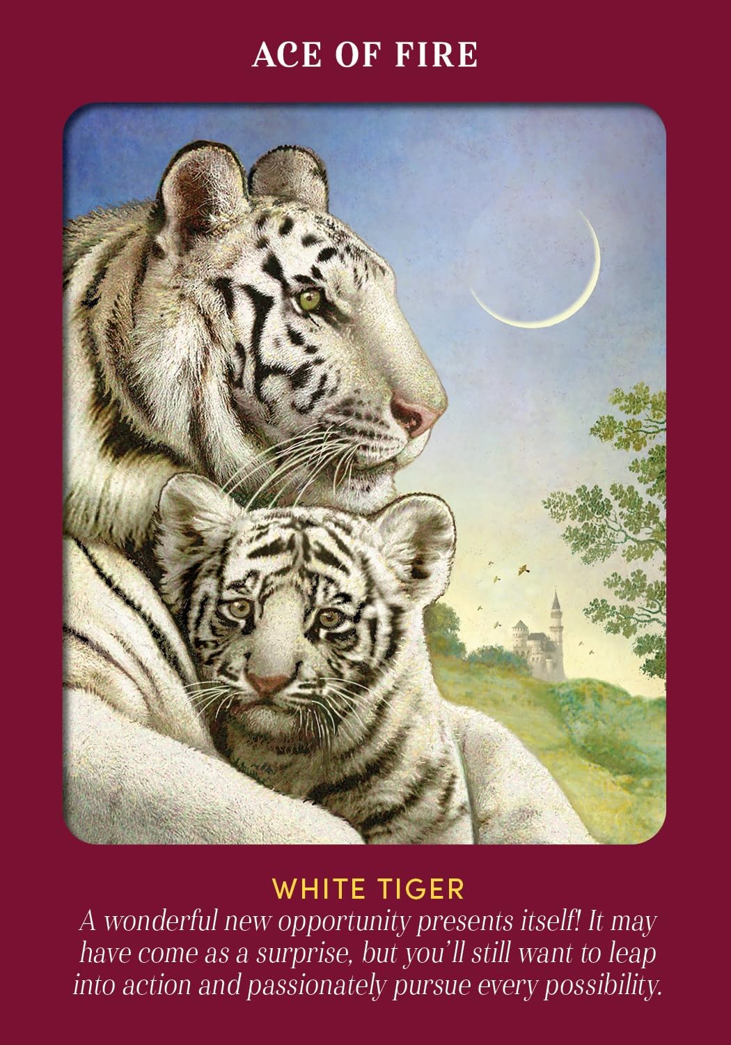 Animal Guides Tarot: A 78-Card Deck and Guidebook