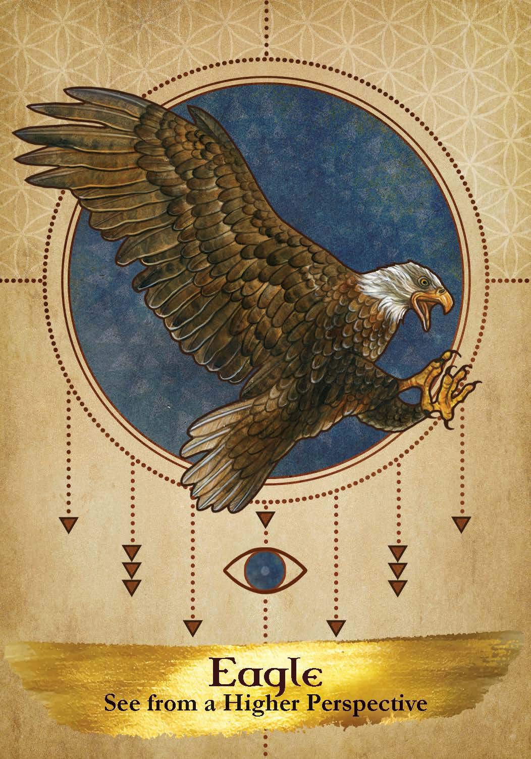 Angels And Ancestors Oracle Cards: A 55-Card Deck and Guidebook