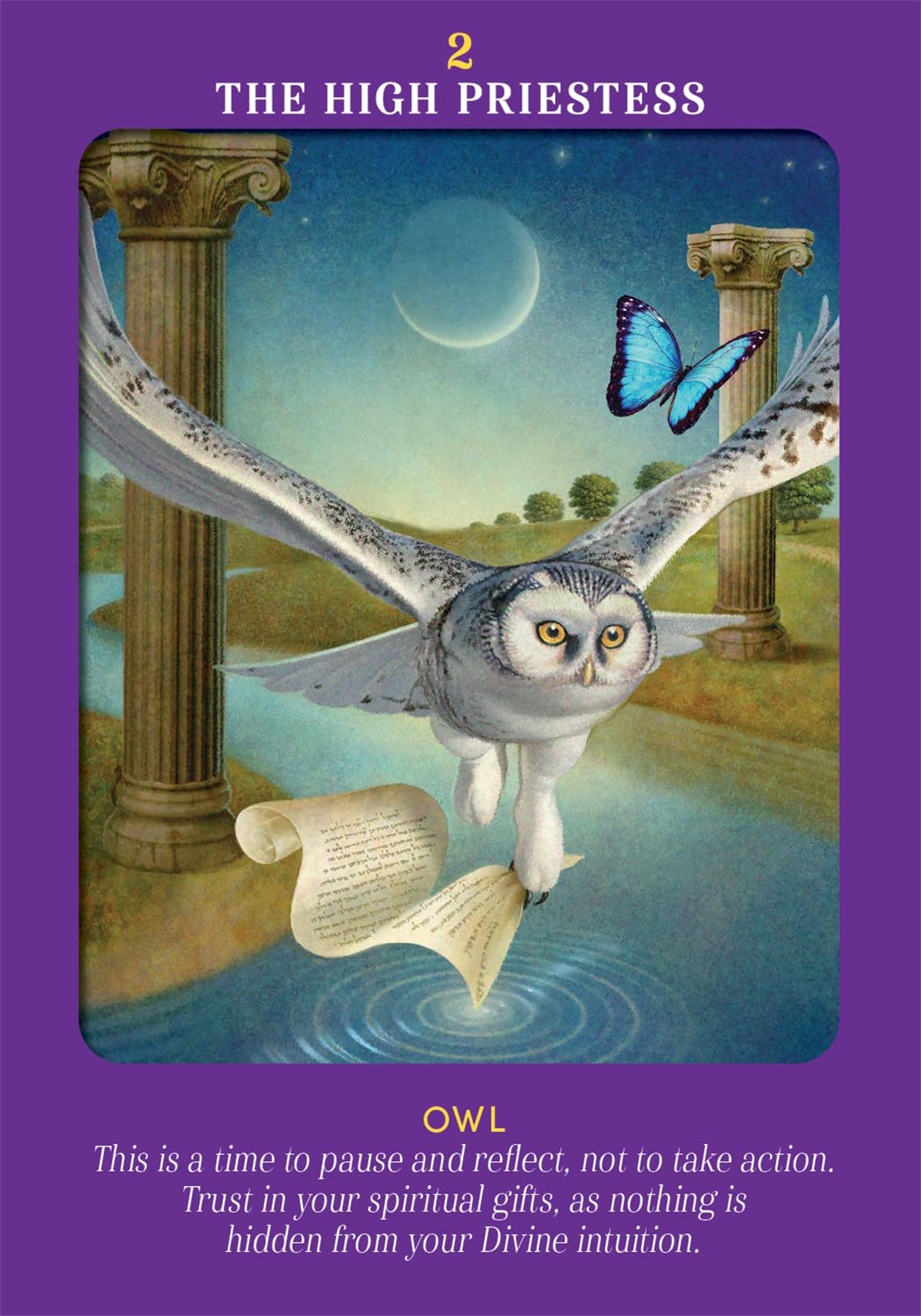 Animal Guides Tarot: A 78-Card Deck and Guidebook