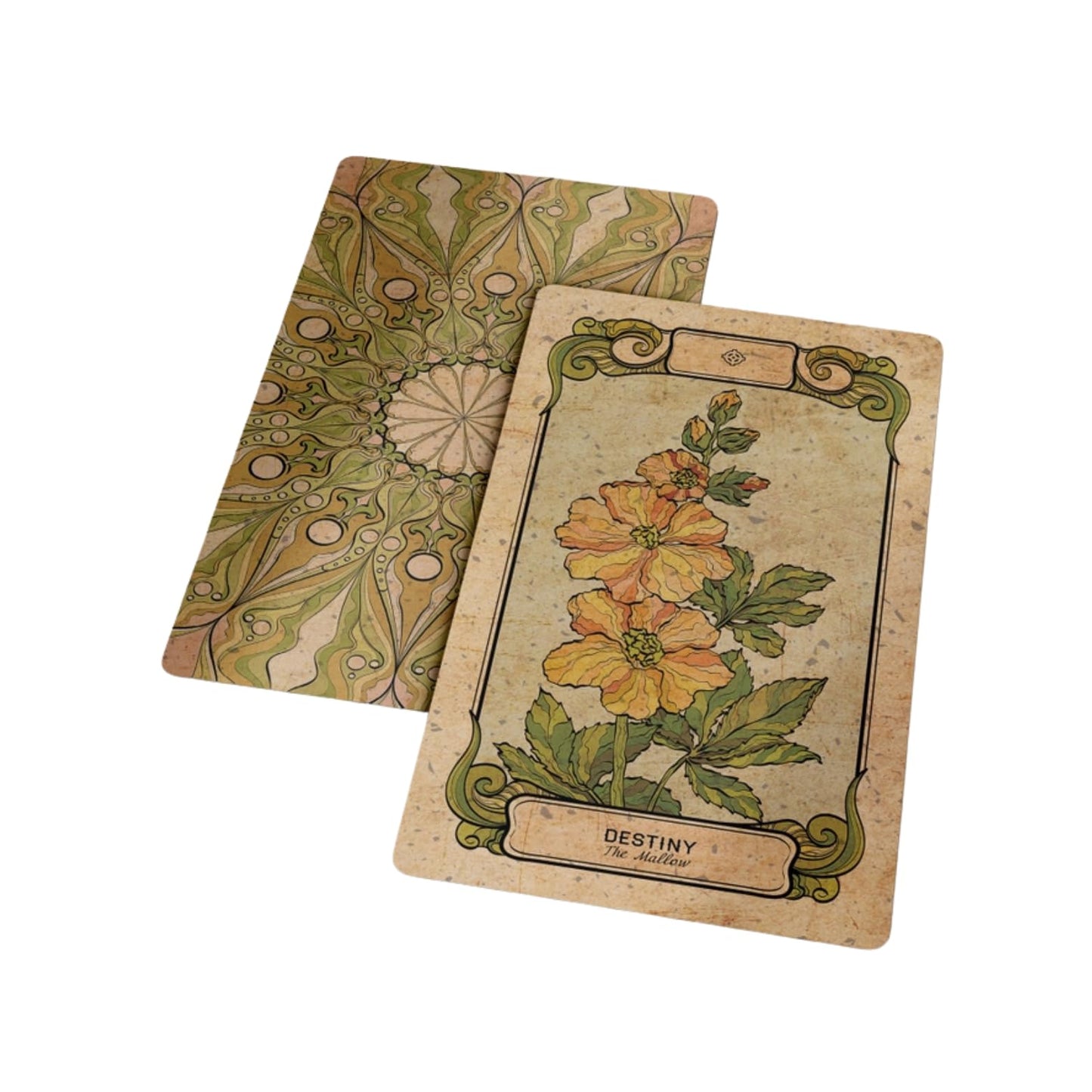 BOTANICA OCULTA TAROT - 78+2 Card Deck | Mystical Tarot & Oracle Cards for Spiritual Guidance, Divination, and Manifestation | High-Quality Cardstock with Stunning Botanical Illustrations | Ideal for Beginners & Experts